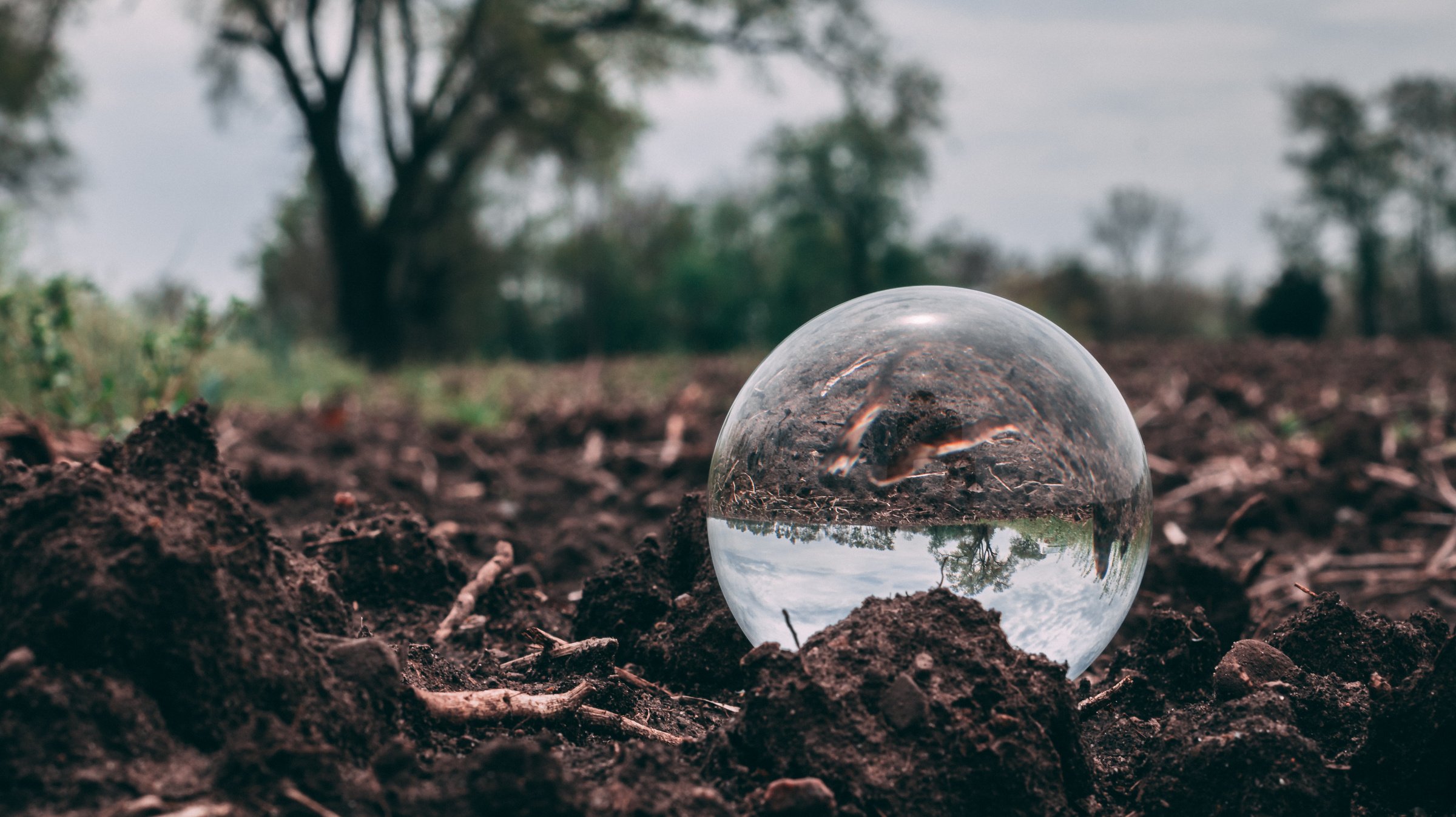 Closeup Photo of Clear Glass Ball on soil